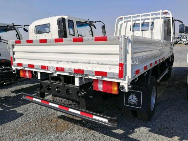 SINOTRUK HOWO 3 Ton Light Cargo Truck Low Price 4x2 Lorry Truck photo-4