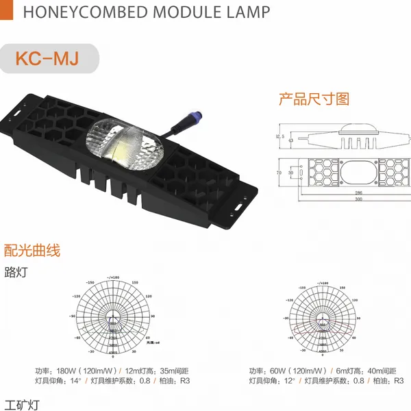 Quality LED Street Lamp, High Pole Light, Landscape Lamp and Honeycombed Module Lamp Projects for Port, Construction Etc. photo-4