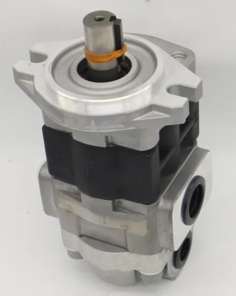 Hydraulikpumpe SDY1 SDY SD DDG SDB SD1 Zahnradpumpe SDY1-275L896 Hydraulikölpumpe SDY1-275L896 photo-4
