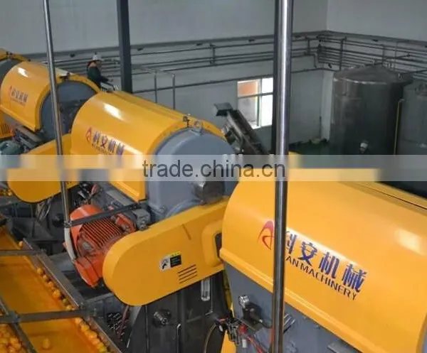 Industrial Cup Type Citrus Juicer Machine photo-3