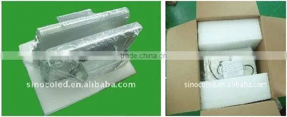 Sinoco CE RoHS PSE High Lumen145lm/w Ip65 100w Gas Station Led Price Display photo-5