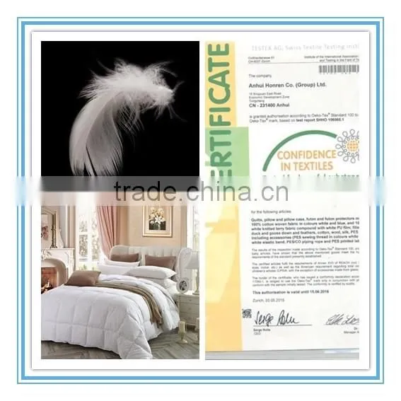 Factory Made 2-4cm Washed White Goose Down Quilts New Technology Product in China photo-2