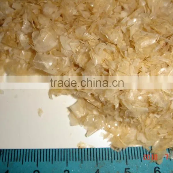 Fish Scale for Collagen, Good Price and Quality photo-2