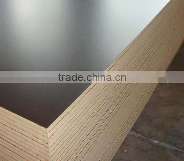 1830*2440*3 Melamine Faced Door Mdf Wood photo-5