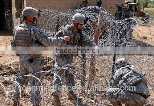 Barb Wire and Razor Wire photo-3