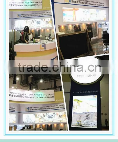 Seller Recommend White Fantasy Granite Brazil White Granite Tile photo-4