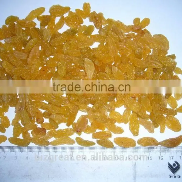 Dried Fruits-Air Dried Sweet Dried Golden Raisins for Sales photo-5
