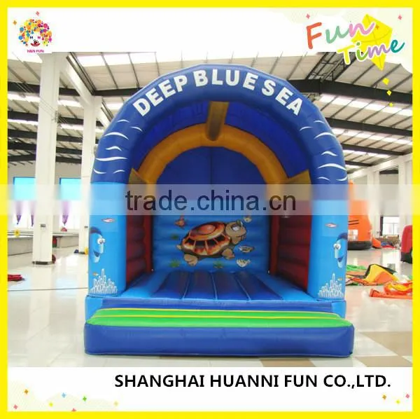 Different Kinds of Cartoon Model Inflatable Bouncers, Garden Bouncer Castle for Sale photo-3