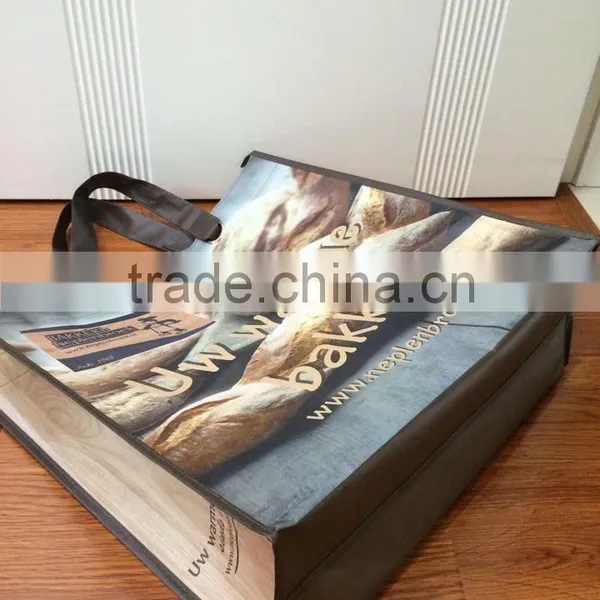 Manufacturer Factory Price Customized Laminated pp Woven Bag for Shopping photo-2