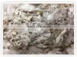 Recycle 100% White Cotton Waste photo-4