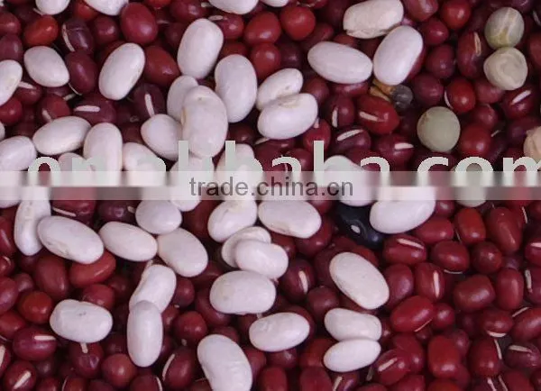 Natrual Adzuki Bean