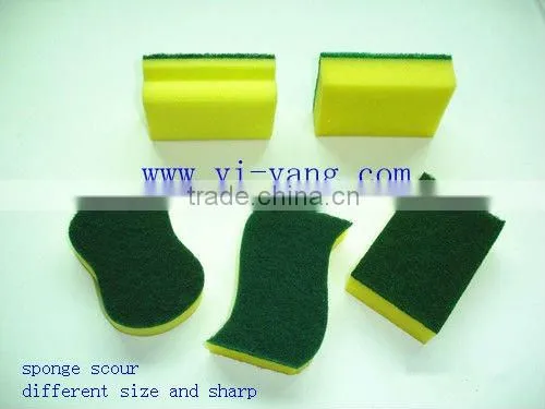 Sponge Scour