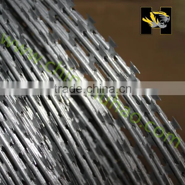 2015 High Quality Hot Sales of Razor Barbed Wire Manufacturer photo-3