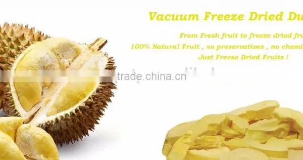 Vacuum Freeze Dried Durian Monthong ( Golden Pillow ) From Thailand Certified HACCP, ISO 22000, GMP, HALAL and KOSHER photo-2