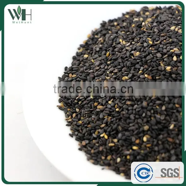 EU Organic Black Certified Sesame Seeds photo-6