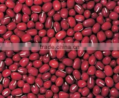 Adzuki Bean 2013 Crop