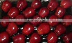 Dark Red Huaniu Apple photo-5