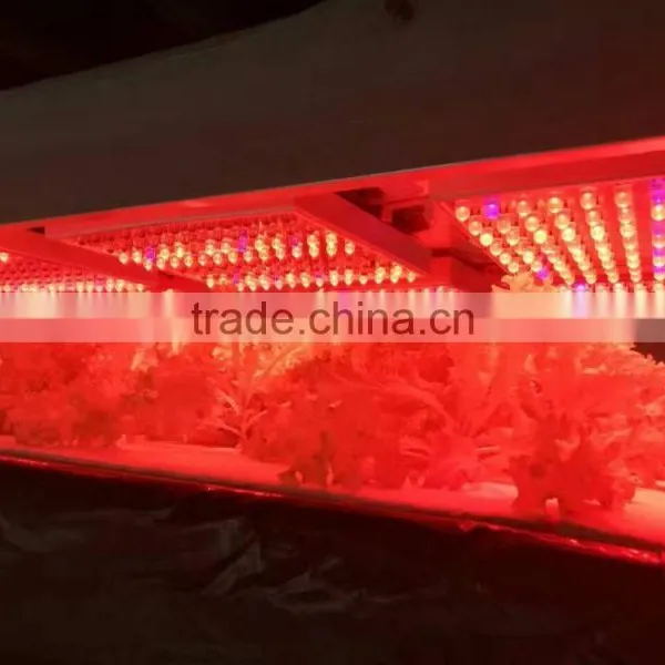 Greenhouse Price photo-4