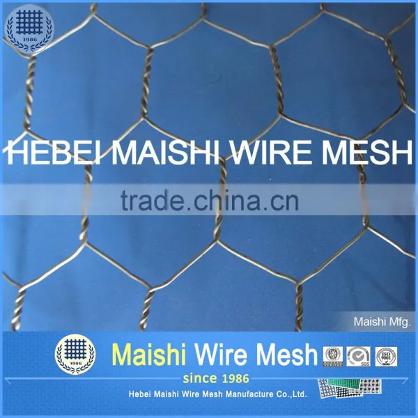Hexagonal Mesh 1/2inch 1.2m With Low Price photo-4