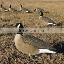 2017 New Fashion High Quality Hot Selling Plastic Duck Hunting Decoy, Mallard Duck Decoys photo-2