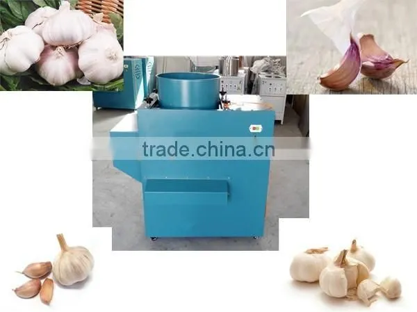 The Price of Garlic Separator Machine and Peeling Machine in China Factory photo-2