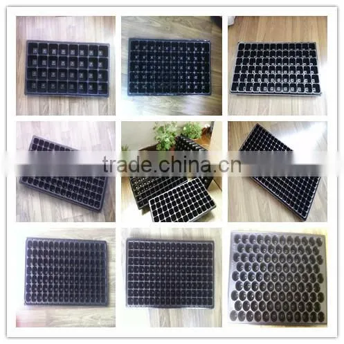 420 Cell Black HIPS Vegetable Plants Seed Nursery Trays, Stock MOQ 1000pcs photo-2