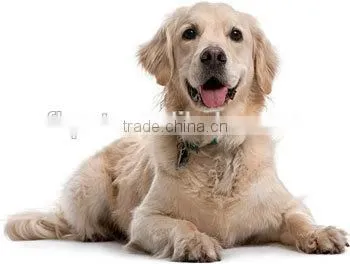 Menu Mix Diet Pet Food Dog Food photo-3