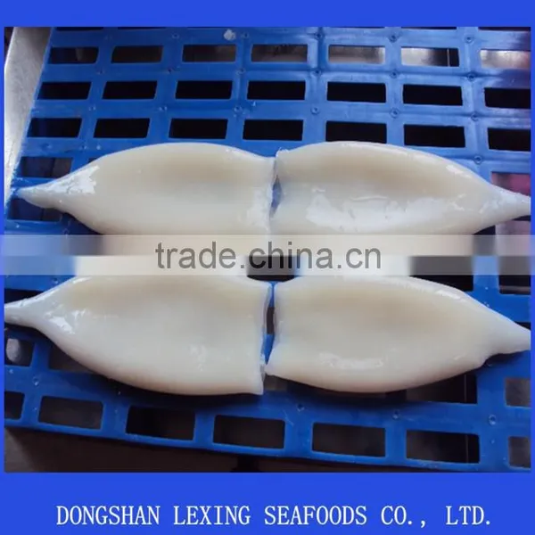 Frozen Todarodes Pacificus Squid Tube photo-2