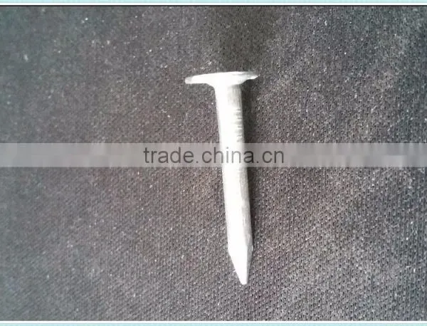 HOT!roofing Coil Nails photo-2