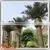 Wholesale Plastic Wood Fiberglass Outdoor Artificial Mini Palm Trees photo-2