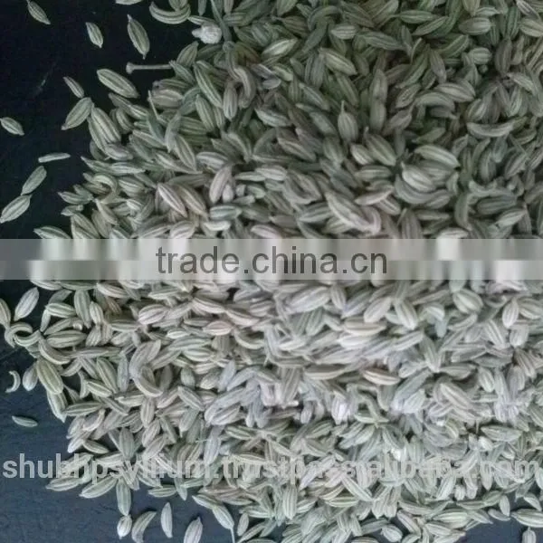 Organic Fennel Seed