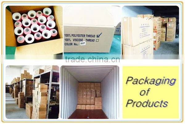 120D/2 Sell Multicolor Embroidery Thread photo-6