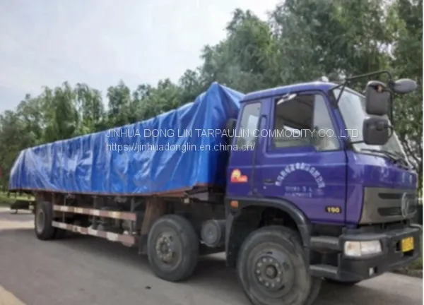 Anti-mildew Light Blue Tarpaulin Sun Protection photo-3