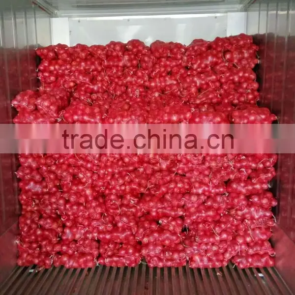 Low Price Fresh Red Onion Packing In Mesh Bag Cheap Onion photo-3