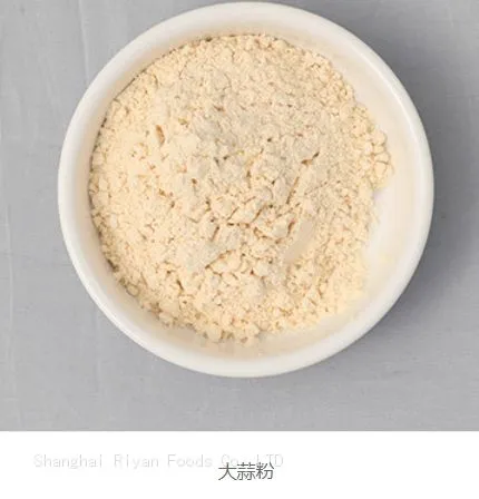 Garlic Powder CN