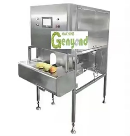 Mango Peeler Machine Stainless Steel Automatic Peeling Machine for Yellow and Green Mango