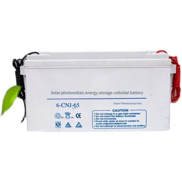 Solar Energy Storage Battery 6-cnj-65 12v65ah, Special for Power Room dc Screen Eps Supporting