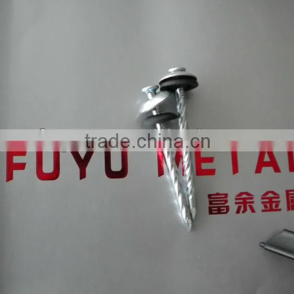 Twisted Umbrella Head Roofing Nail Factory photo-5
