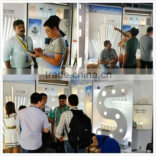 Top Quality Customized 3w 5w Led Tube t5 Led Tube Light photo-5