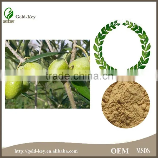 China Supply Olive Leaf Extract, Olive Leaf Powder photo-6