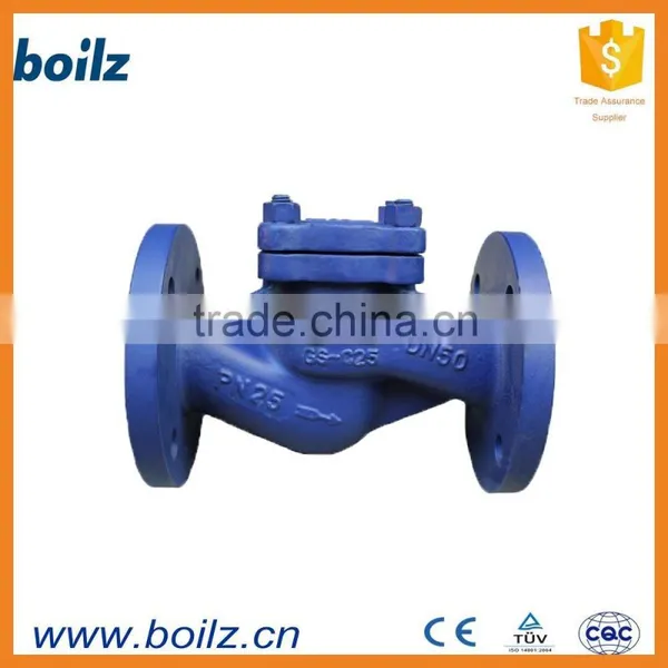 DIN Cast Steel Y Type Strainer PN16 PN25 PN40