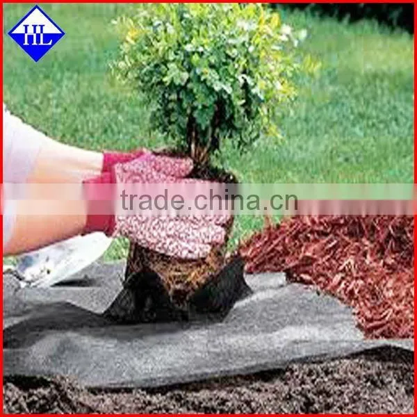 Biodegradable pp Spun-bonded Non Woven Fabric