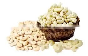 Vietnam Cashew Kernels Grade WW320, WW450, WS for Asia Market photo-3
