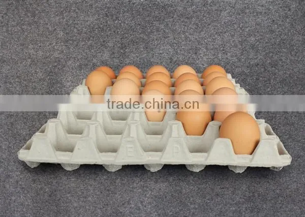 EP Recycle Paper Pulp Egg Tray