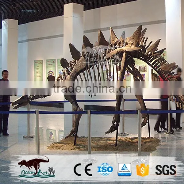 OA2258 Fiberglass Skeleton Model Dinosaur Skull Replica for Sale photo-4