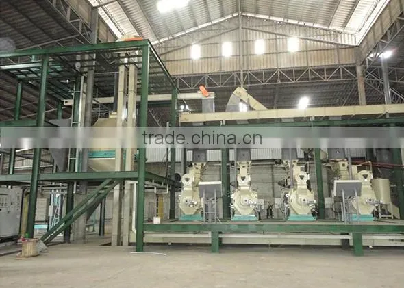 Feed Production Line