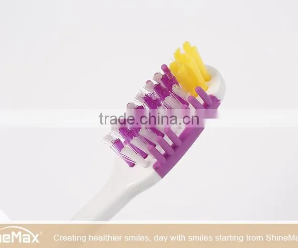 Shinemax Cheap Toothbrush Foldable Toothbrush Hot Sale in 2016