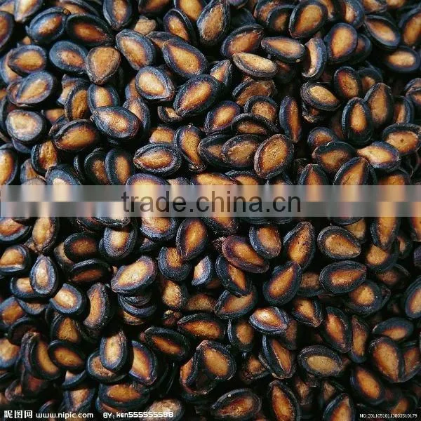 Watermelon Hybrid Seeds
