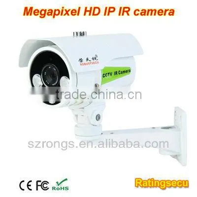 Megapixel IP Cameras With P2P Software for Home Security