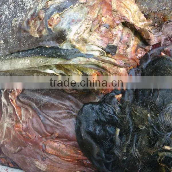 Buffalo Skin photo-3